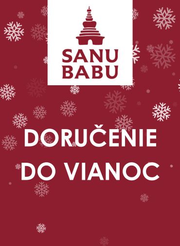 Doručenie do Vianoc 2024