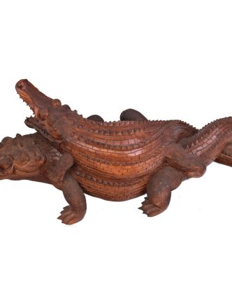 Krokodíl s mláďaťom, cca 1,5m, 150x50x45cm