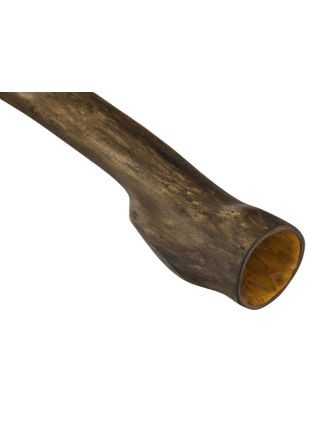 Didgeridoo pre začiatočníkov, brest, 121cm
