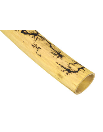 Didgeridoo pre pokročilých, brest, 154cm
