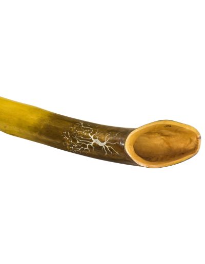 Didgeridoo pre pokročilých, breza, 166cm