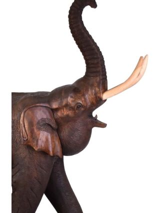 Slon - tropické drevo suar, 115x55x170cm